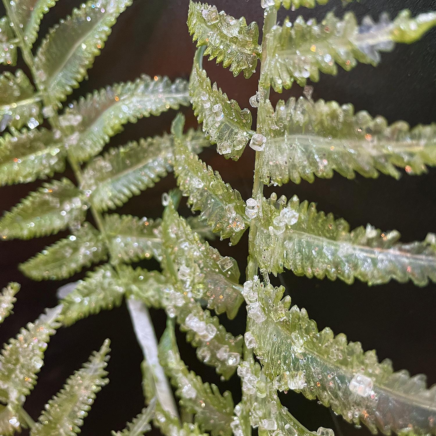 Веточка декоративная 80см светло-зеленая папоротник