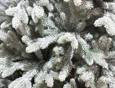 Елка      1,8м   Epruce edge  (Эпрус Эдж) заснеженная d0,8м 263 веток PE100%
