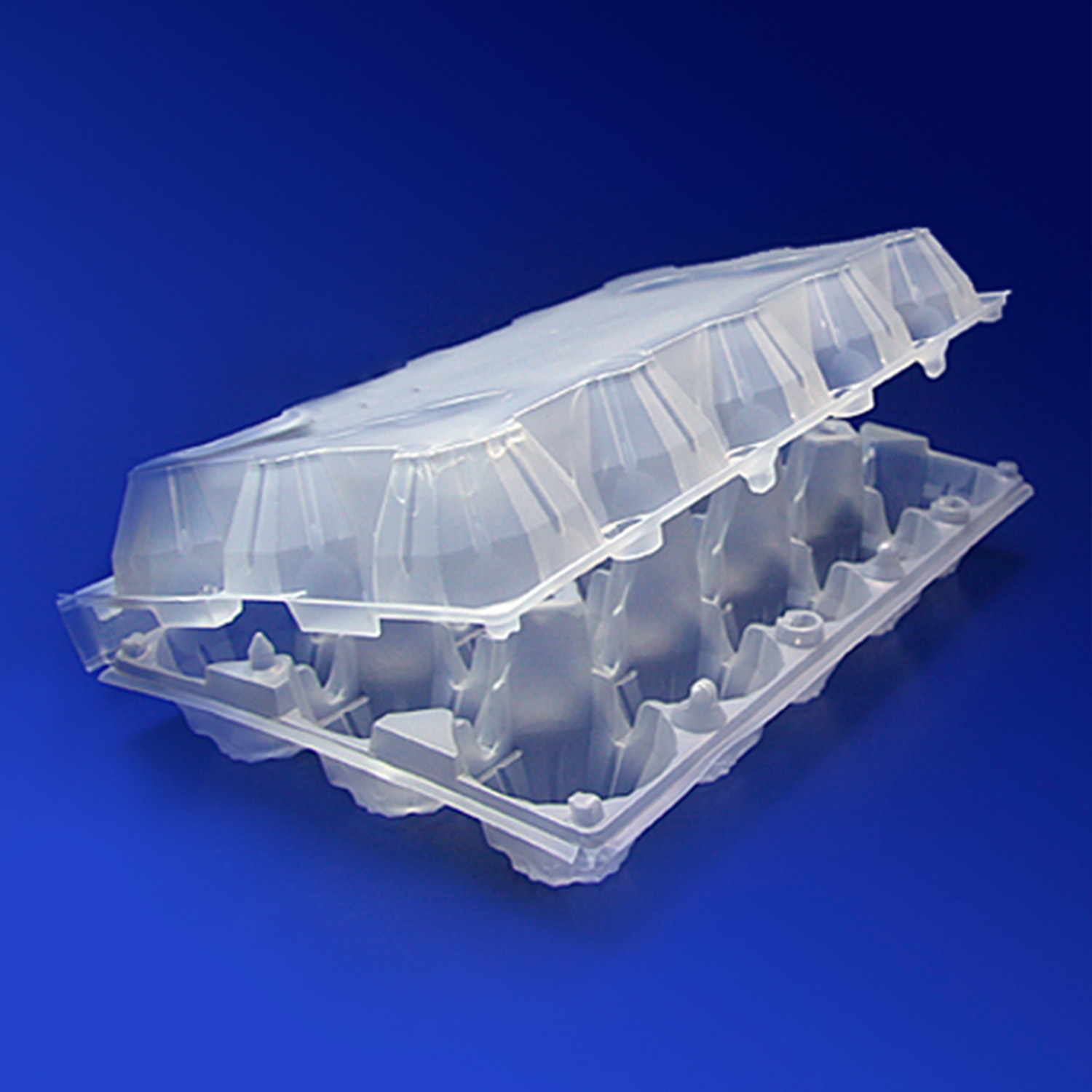 Упак бокс для яиц 24,8х15,0х7,0см 15 ячеек d4,5см матовая