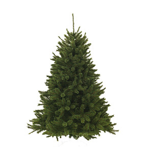 Елка 3м Forest Лесная красавица зеленая d1,88м 3236веток PVC